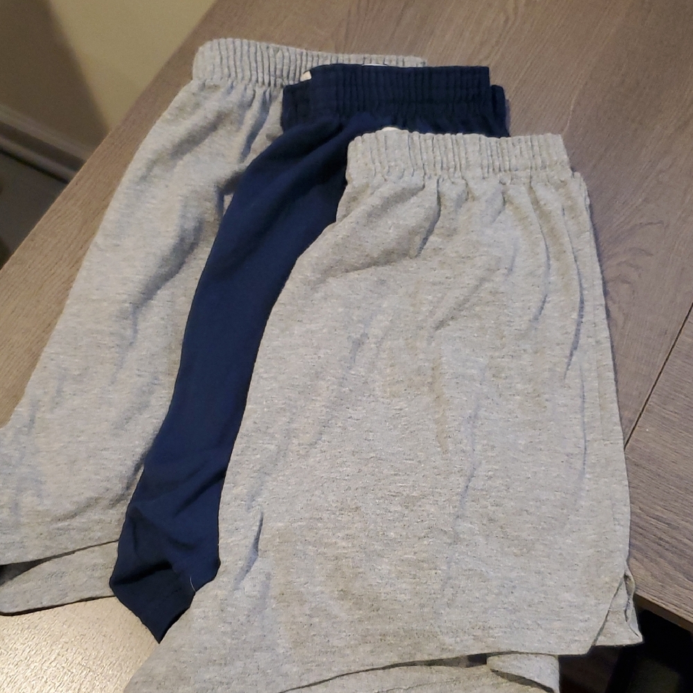 Soffe Athletic Shorts Gray and Blue Elastic Waist